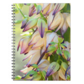 carnet de fleurs de yucca (Devant)