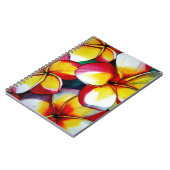 Carnet de fleurs Frangipani rose (Côté gauche)