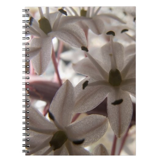 Carnet de fleurs roses (Devant)