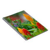 Carnet de fleurs Sun Color (Côté Droit)
