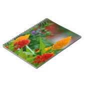 Carnet de fleurs Sun Color (Côté gauche)