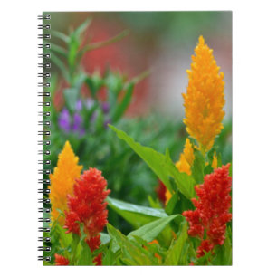 Carnet de fleurs Sun Color