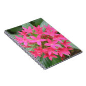 Carnet de fleurs tropicales rose vif (Côté Droit)