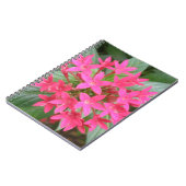 Carnet de fleurs tropicales rose vif (Côté gauche)