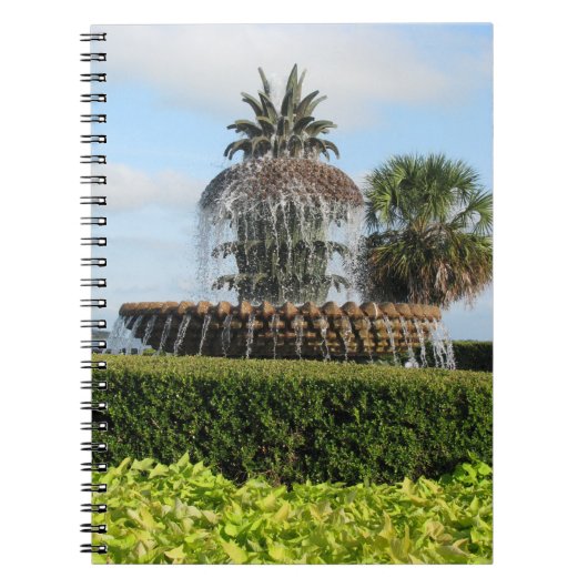 Carnet de fontaine d'ananas de Sc de Charleston (Devant)
