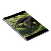 Carnet de fourmilier géant (Côté Droit)