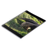 Carnet de fourmilier géant (Côté gauche)