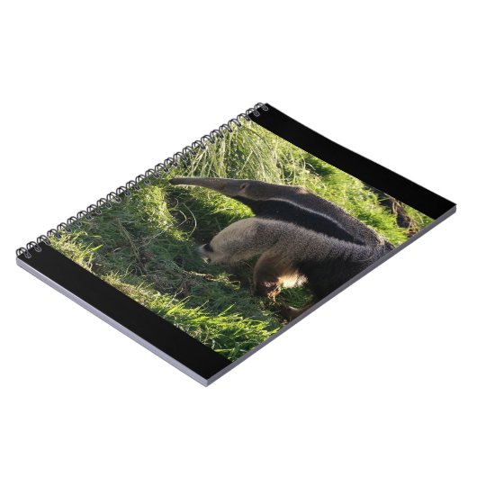 Carnet de fourmilier géant (Côté gauche)