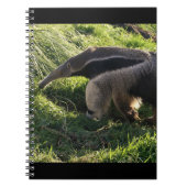 Carnet de fourmilier géant (Devant)