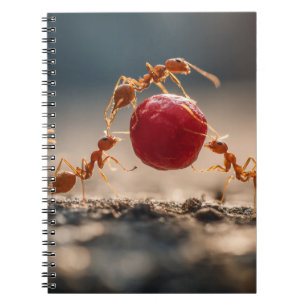 Carnet de fourmis de travail en équipe