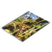 Carnet de fronde de fougère (Côté gauche)
