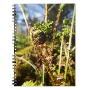 Carnet de fronde de fougère