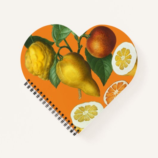 CARNET DE FRUITS DE CITRUS (Devant)