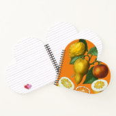 CARNET DE FRUITS DE CITRUS (Intérieur)