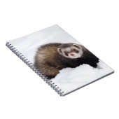 Carnet de furet de Milou (Côté Droit)