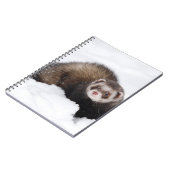 Carnet de furet de Milou (Côté gauche)