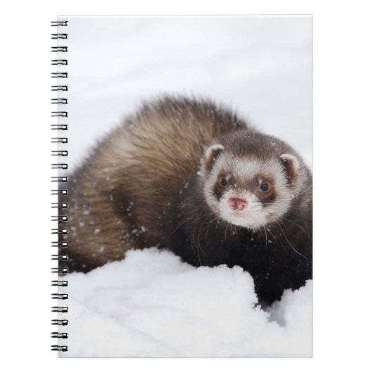 Carnet de furet de Milou (Devant)