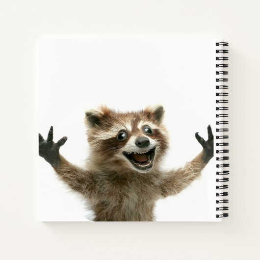 Carnet de Gemini (Dos)