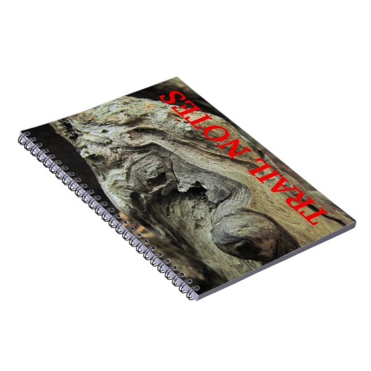 Carnet de genoux Cypress Tree (Côté Droit)