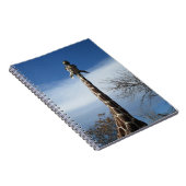 Carnet de girafe (Côté Droit)