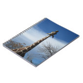 Carnet de girafe (Côté gauche)