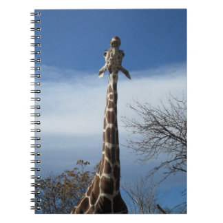 Carnet de girafe