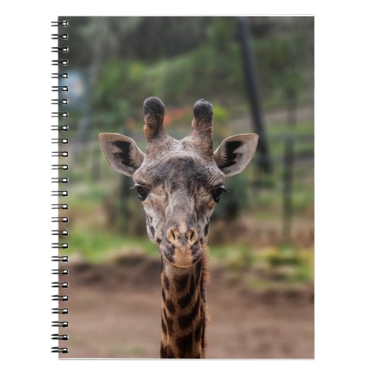 Carnet de girafe (Devant)