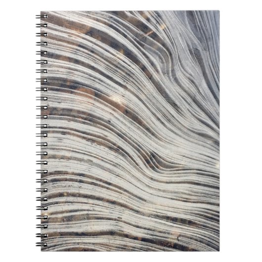 Carnet de glace de Loch Ness (Devant)