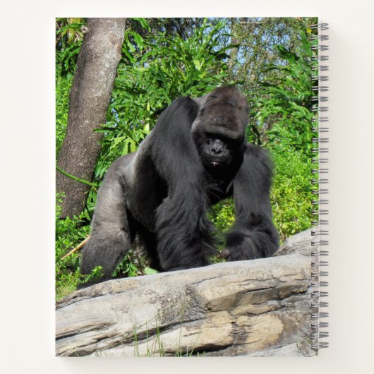 Carnet de Gorille de Silverback, 8,5 x 11 + (Dos)