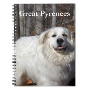 Carnet de Grands Pyrénées