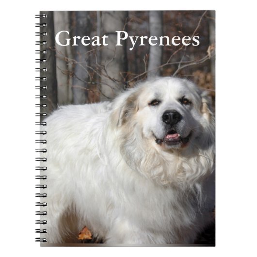 Carnet de Grands Pyrénées (Devant)