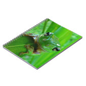 Carnet de grenouille à arbre vert (Côté gauche)