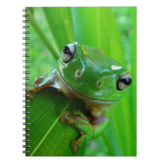 Carnet de grenouille à arbre vert (Devant)