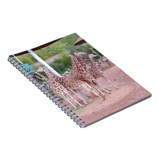 Carnet de groupe n° 2 (Côté Droit)