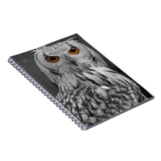 Carnet de hibou (Côté Droit)