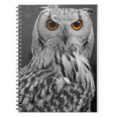 Carnet de hibou (Devant)