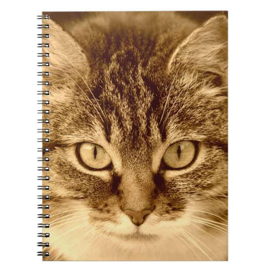 Carnet de journal rayé par spirale d'amoureux de (Devant)
