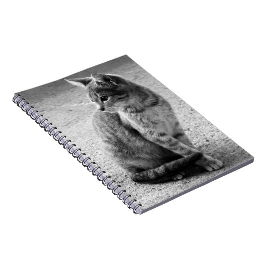 Carnet de Kitten noir et blanc (Côté Droit)