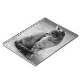 Carnet de Kitten noir et blanc (Côté gauche)