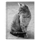 Carnet de Kitten noir et blanc (Devant)