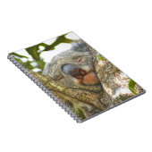 Carnet de koala (Côté Droit)