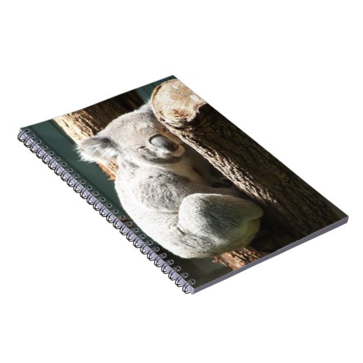 Carnet de Koala (Côté Droit)