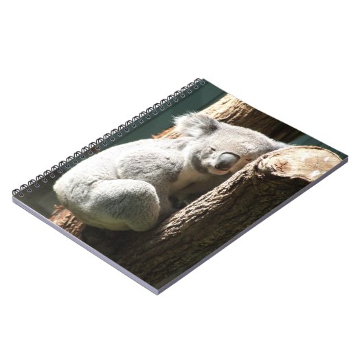 Carnet de Koala (Côté gauche)