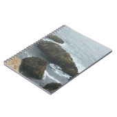 CARNET DE LA BAIE DE BODEGA (Côté gauche)