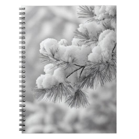 Carnet de la branche du pin couvert par la neige (Devant)