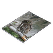 Carnet de la Chouette pygmée du Nord (Côté gauche)