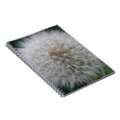 Carnet de la fleur de Dandelion (Côté Droit)