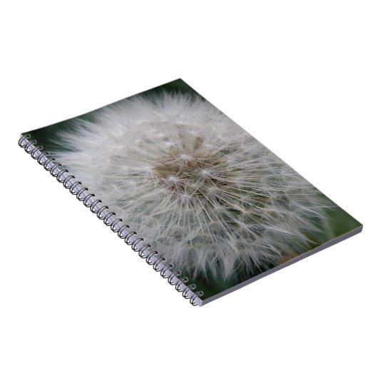Carnet de la fleur de Dandelion (Côté Droit)