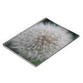 Carnet de la fleur de Dandelion (Côté gauche)