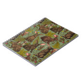 Carnet de la flore des lapins et des bois (Côté gauche)